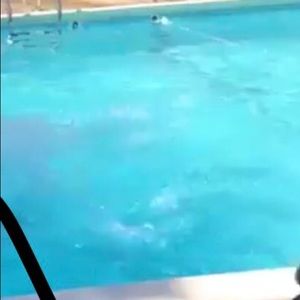 Meet your Posher, Tamia